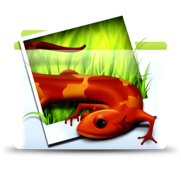 Pictures Icon, Pictures,Colorflow Full,Folder