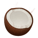 Coconut Icon, Coconut,Fruits Illustrated,Food & Drinks,