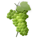 Grapes Icon, Grapes,Fruits Illustrated,Food & Drinks,