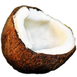 coconut Icon, coconut,Fruitsalad,Food & Drinks
