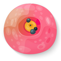 Sushi 14 Icon, Sushi 14,Sushi,Food & Drinks
