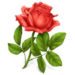 Rose Icon, Rose,Gifts,Holiday