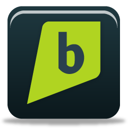 brightkite Icon, brightkite,Pretty Social Media,Internet & Web