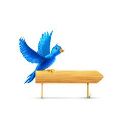 Bird sign sparkles Icon, Bird sign sparkles,Tweet My Web,Internet & Web