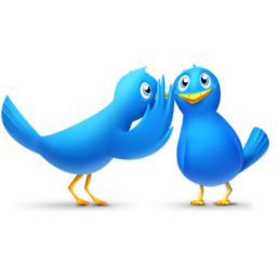 Gossip birds Icon, Gossip birds,Tweet My Web,Internet & Web