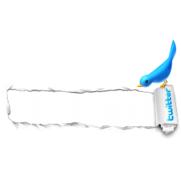 Paper hole bird Icon, Paper hole bird,Tweet My Web,Internet & Web