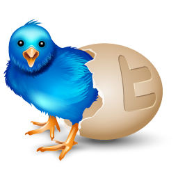 twitter egg Icon, twitter egg,Vector Twitter,Internet & Web