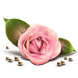 Rose Icon, Rose,Gentle Romantic,Love