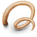 Pigs Tail Icon, Pigs Tail,Harry Potter,Movie & TV