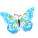 Butterfly blue Icon, Butterfly blue,Yoga,Nature