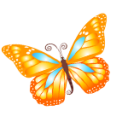 Butterfly orange Icon, Butterfly orange,Yoga,Nature