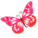 Butterfly pink Icon, Butterfly pink,Yoga,Nature