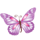 Butterfly purple Icon, Butterfly purple,Yoga,Nature
