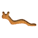 f Viper Inserted Icon, f Viper Inserted,Hieroglyphica,Object,