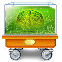 Administrator Icon, Administrator,The Community,Object