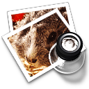 preview13 Icon, preview13,Preview icons,Photographic,http://Wil1113.deviantart.com/art/Preview-icons-70108836