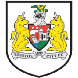 Bristol City Icon, Bristol City,Football League Championship,Sport