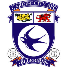 Cardiff City Icon, Cardiff City,Football League Championship,Sport