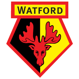 Watford FC Icon, Watford FC,Football League Championship,Sport