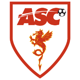 AS Cannes Icon, AS Cannes,French Football Club,Sport