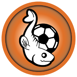 FC Lorient Icon, FC Lorient,French Football Club,Sport