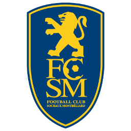 FC Sochaux Montbeliard Icon, FC Sochaux Montbeliard,French Football Club,Sport