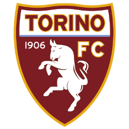 Torino Icon, Torino,Italian Football Club,Sport