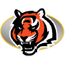 Bengals Icon, Bengals,NFL Teams,Sport