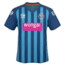 Blackpool Third Icon, Blackpool Third,Premier League 2010,Sport