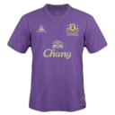 Everton Third Icon, Everton Third,Premier League 2010,Sport