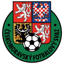 Czech Republic Icon, Czech Republic,UEFA Euro 2008,Sport