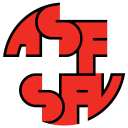 Switzerland Icon, Switzerland,UEFA Euro 2008,Sport