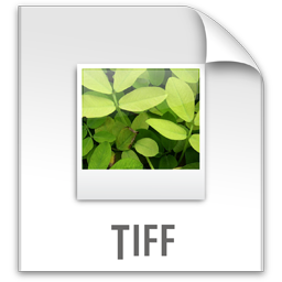 z File TIFF Icon, z File TIFF,Exempli Gratia,System,http://apathae.deviantart.com/art/Exempli-Gratia-65871224