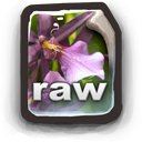 RAW Icon, RAW,GANT 3,System,http://mattahan.deviantart.com/art/GANT-3-15364715