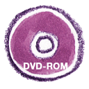 Natsu DVD Icon, Natsu DVD,Natsu Icon Set,System,http://Raindropmemory.deviantart.com/art/Natsu-Icon-Set-81597962