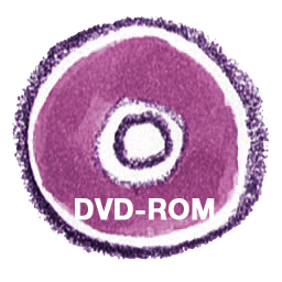 Natsu DVDROM Icon, Natsu DVDROM,Natsu Icon Set,System,http://Raindropmemory.deviantart.com/art/Natsu-Icon-Set-81597962