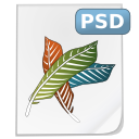 Mimetypes psd Icon, Mimetypes psd,NuoveXT,System