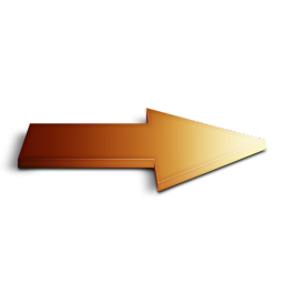 Suivant orange Icon, Suivant orange,Pulse Pack,System