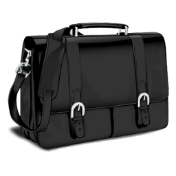 bag Icon, bag,Remixed,System