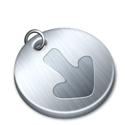 Shiny downloads Icon, Shiny downloads,Tokens,System