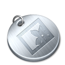 Shiny pictures Icon, Shiny pictures,Tokens,System