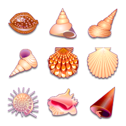 Sea Shells Icons Set