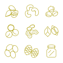 Dry Fruits and Nuts Set Icons Set