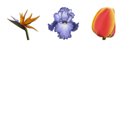 Flowers Icons Set